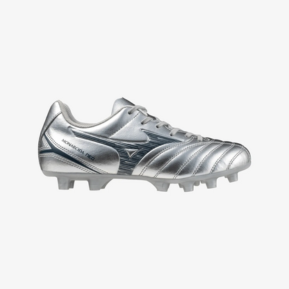 Galaxy Silver (04)