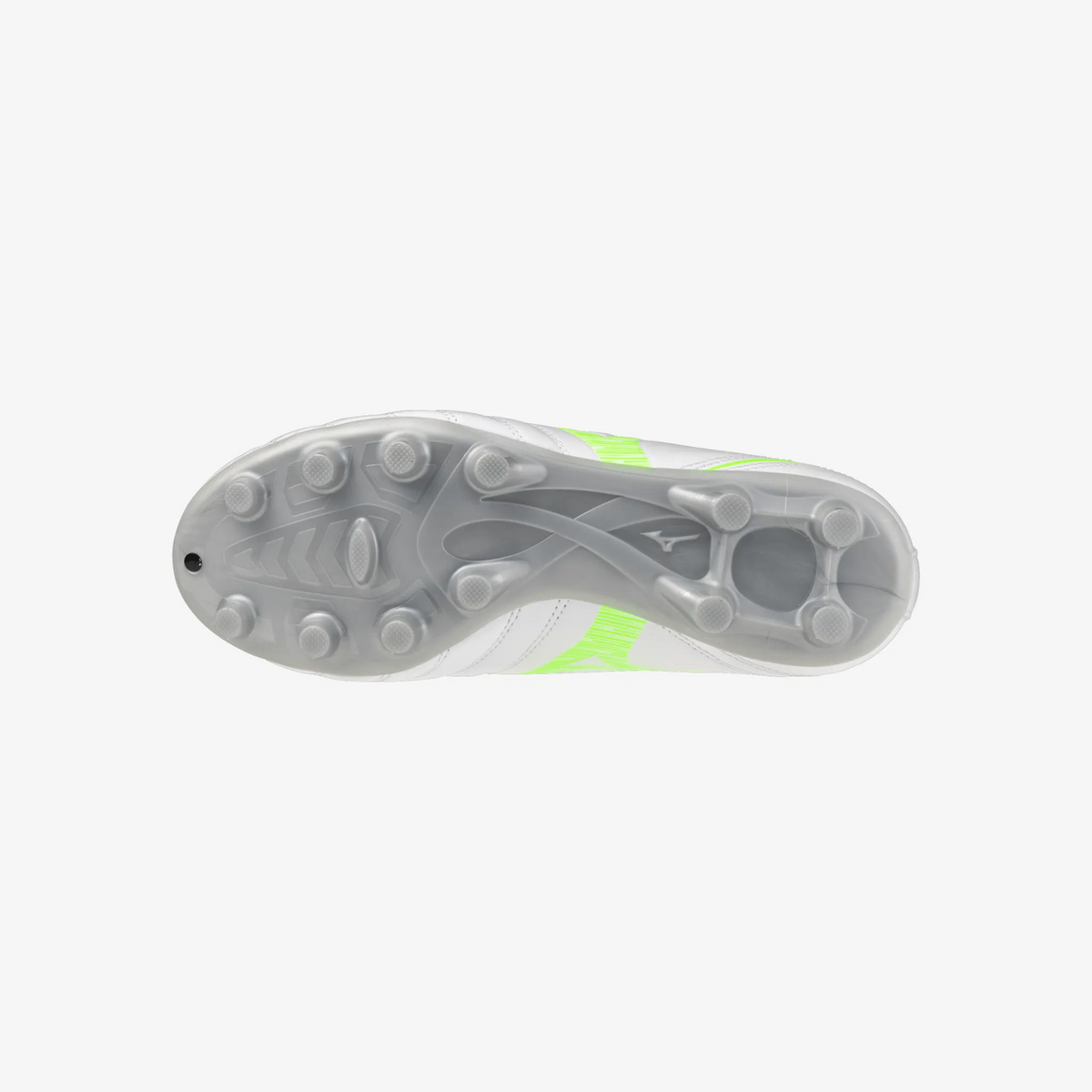 White Green Gecko (37)