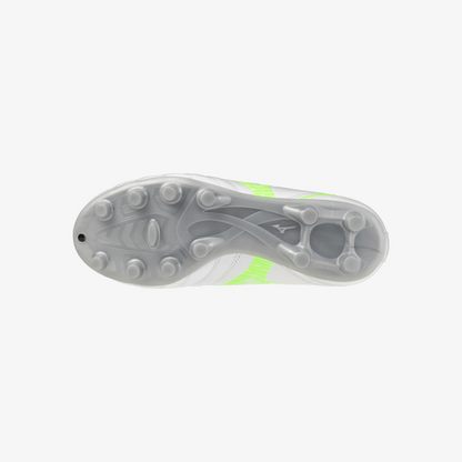 White Green Gecko (37)