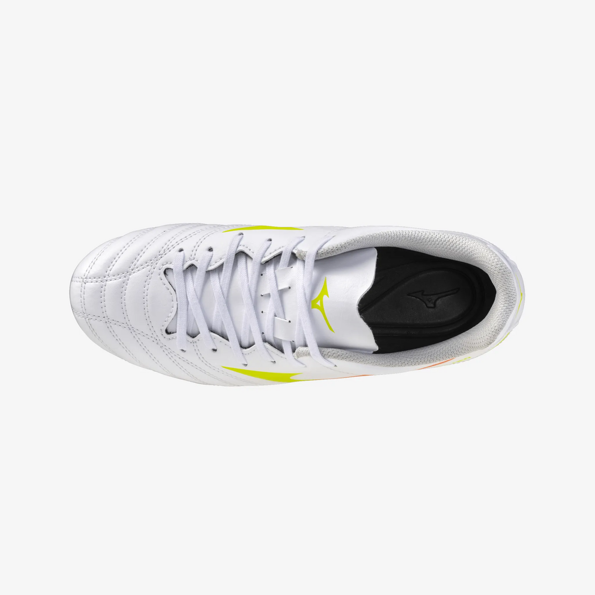 Prism White (54)