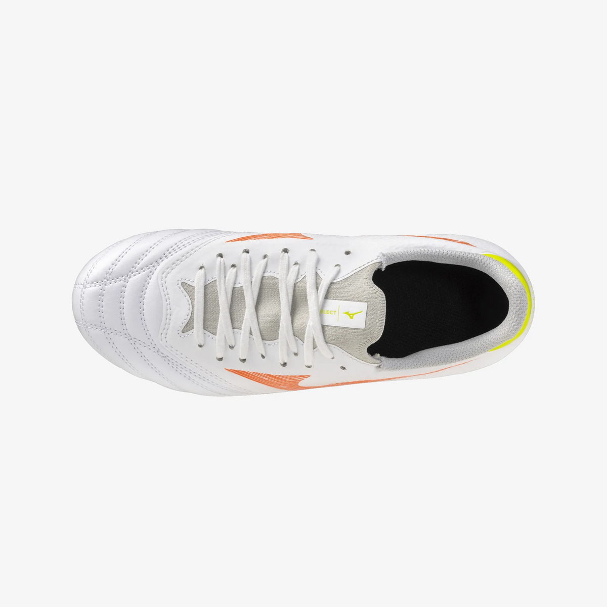Prism White (54)