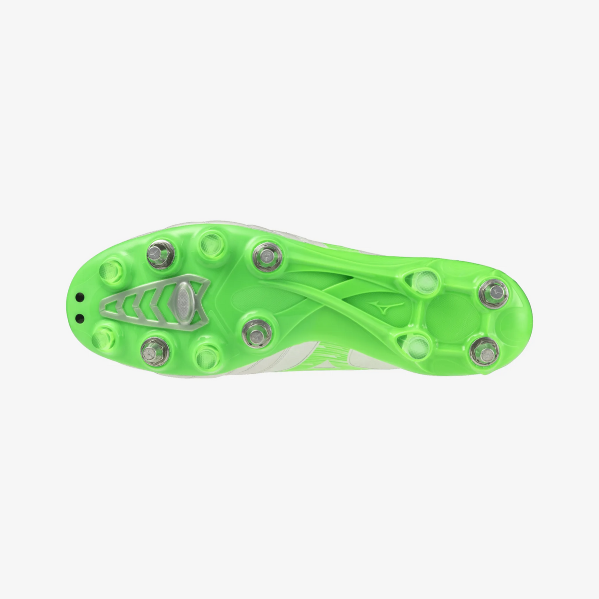 White Green Gecko (37)