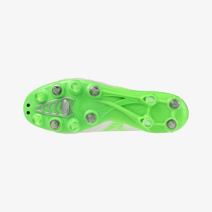 White Green Gecko (37)