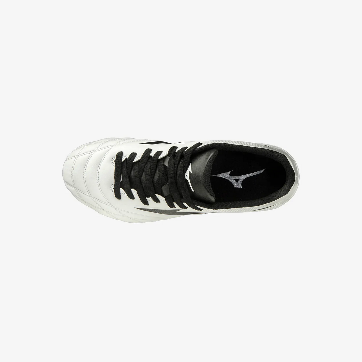 White Black (09)