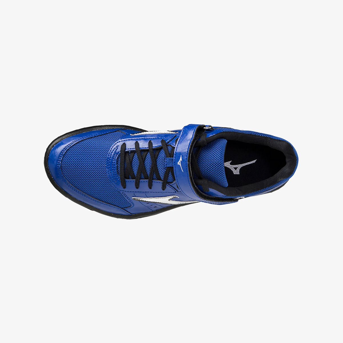 Reflex Blue (01)