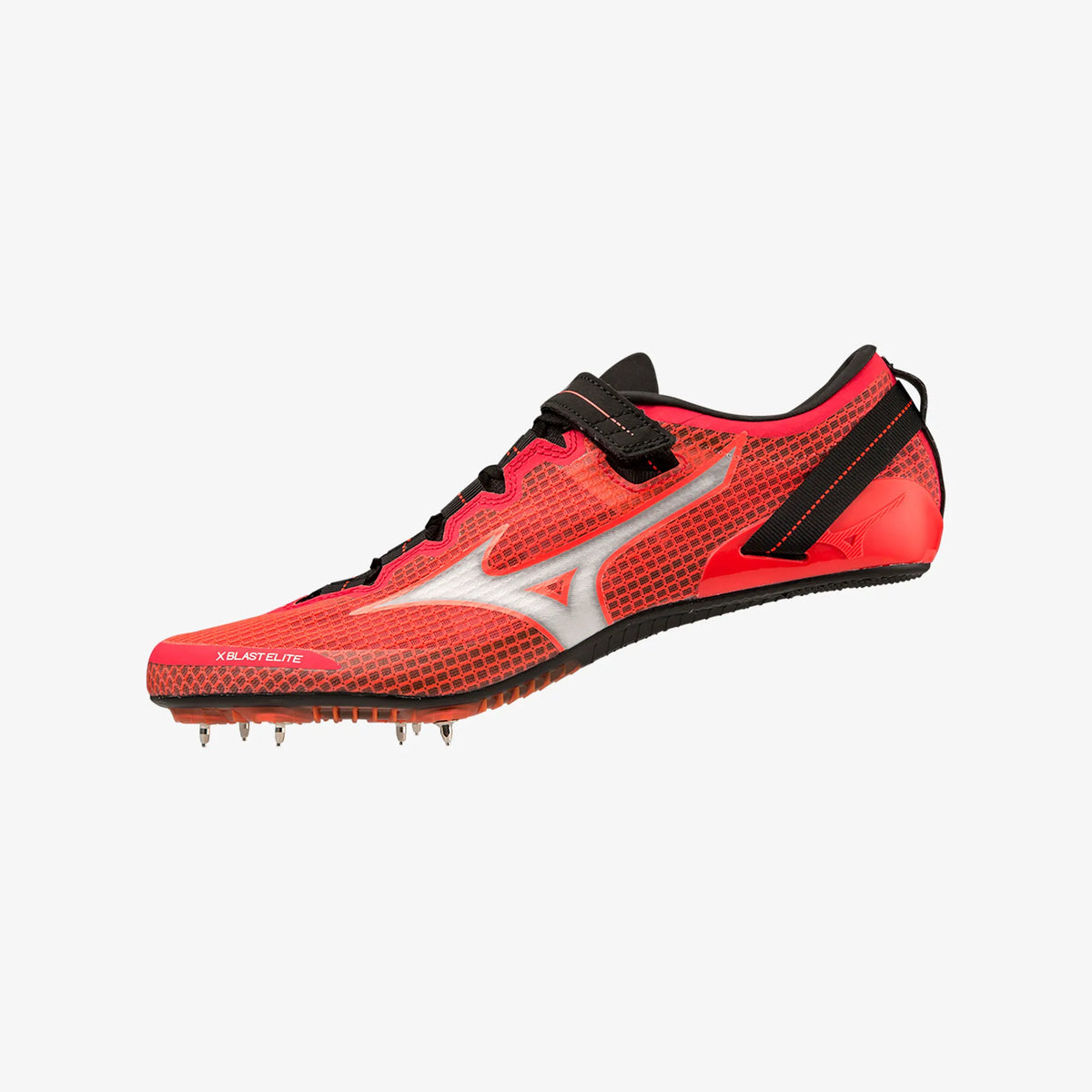 Black Fiery Coral (02)
