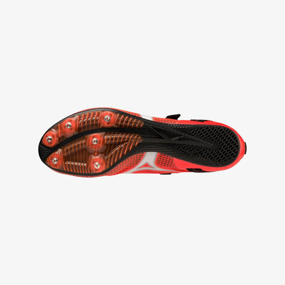 Black Fiery Coral (02)