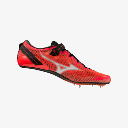 Black Fiery Coral (02)