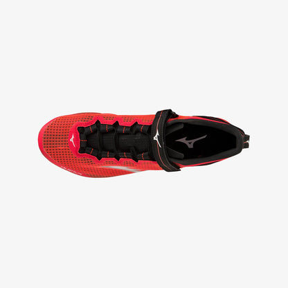 Black Fiery Coral (02)