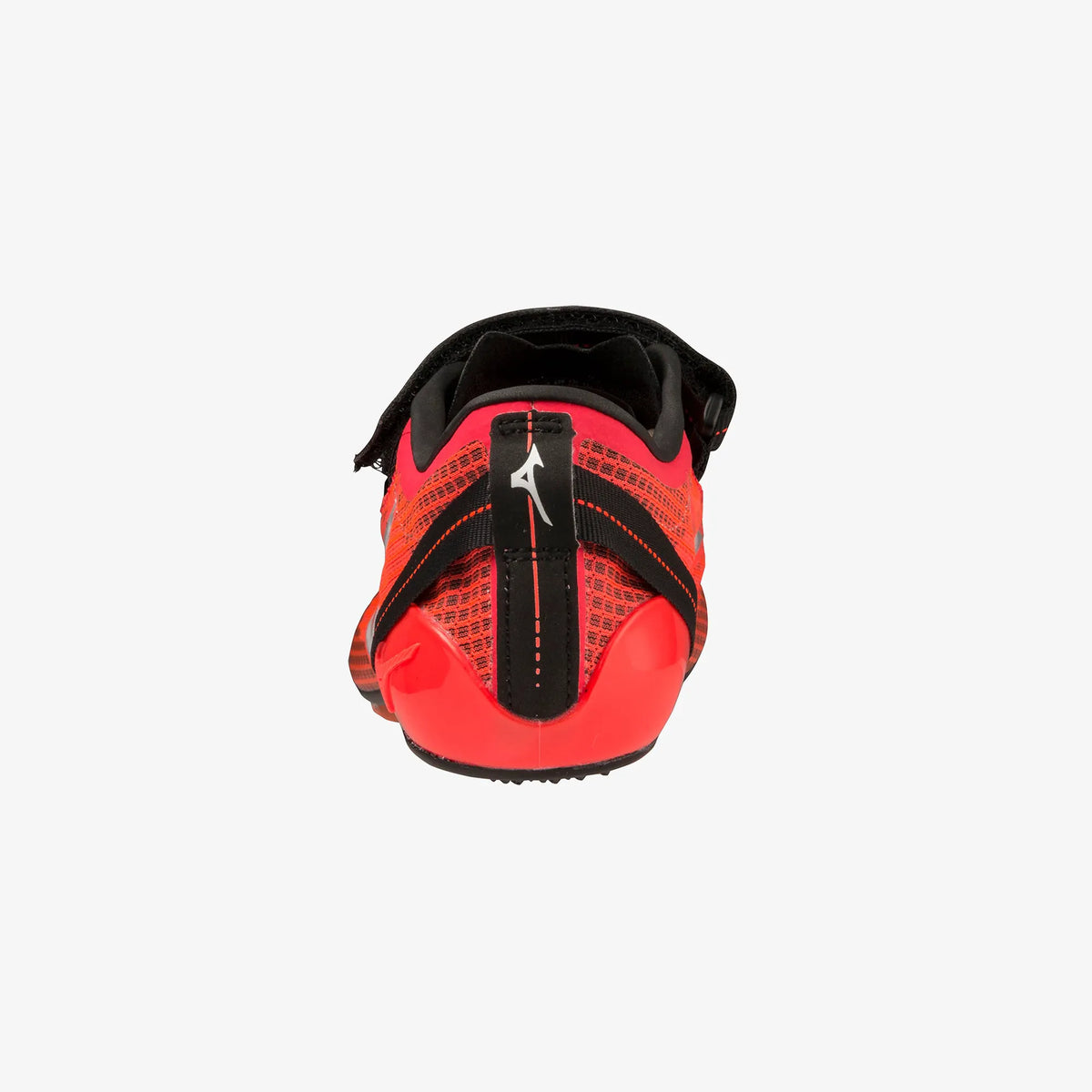 Black Fiery Coral (02)