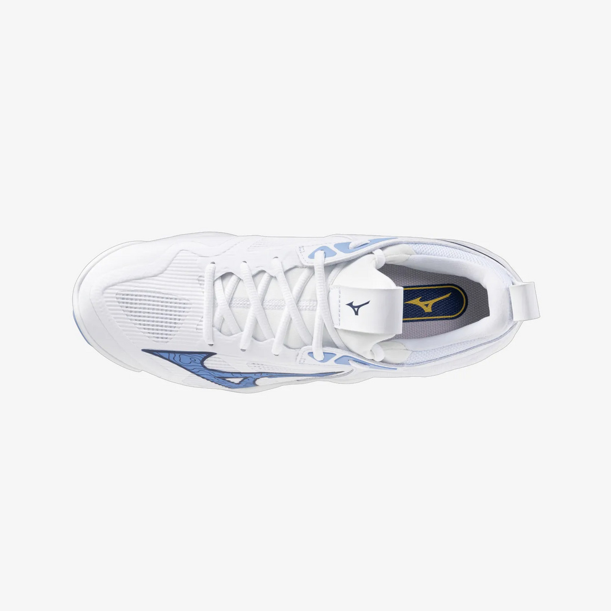 White Bellwether (97)