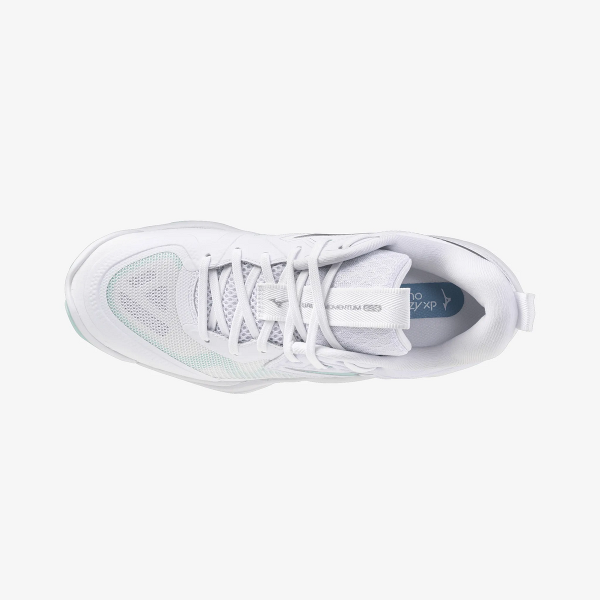 Blue Tint (45)
