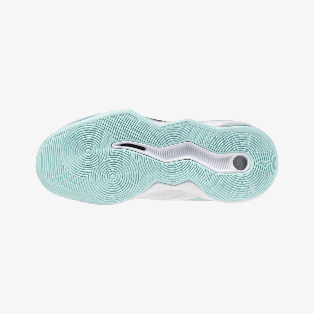 Blue Tint (45)