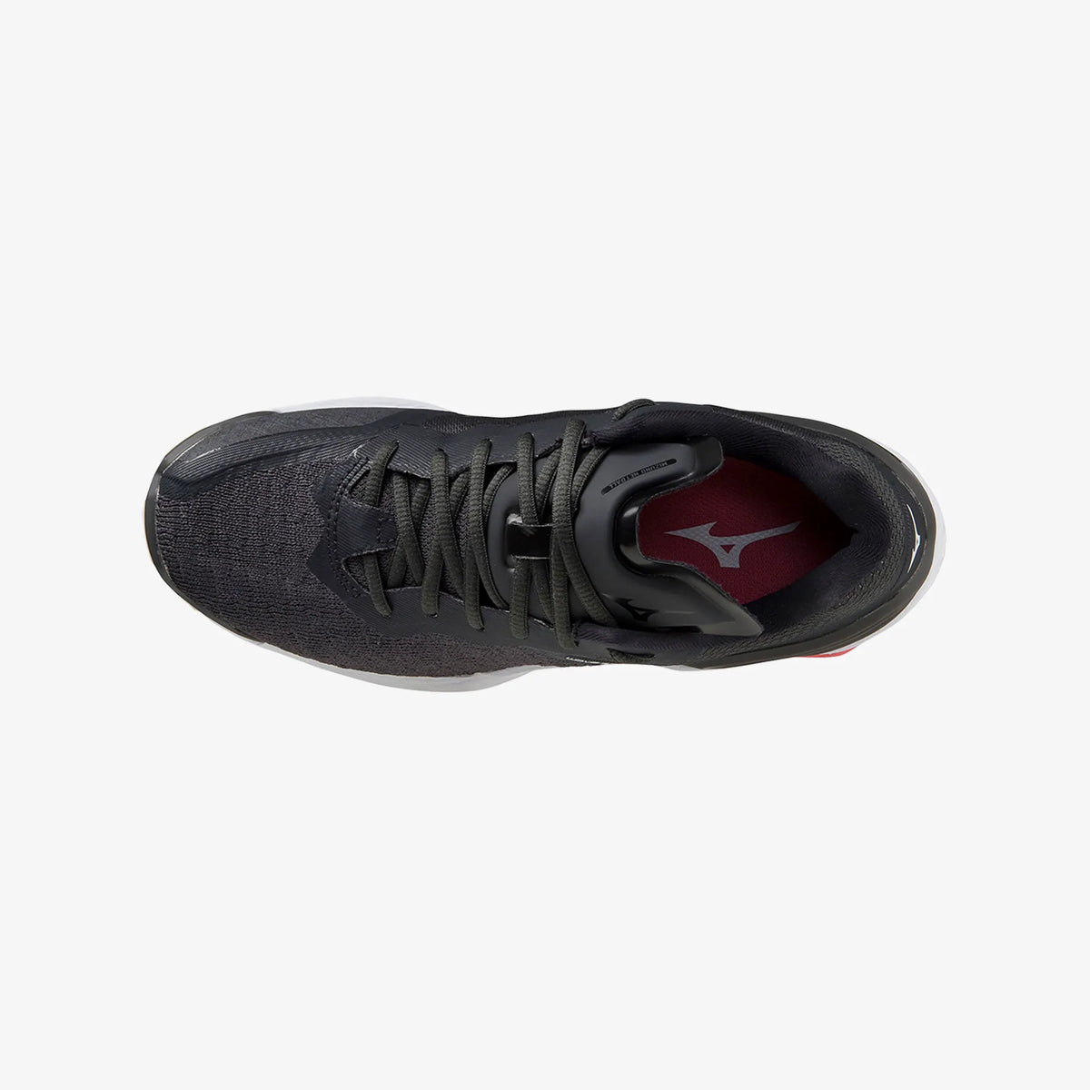 Black Coral (67)