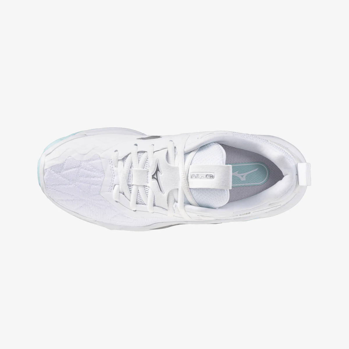 Blue Tint (45)