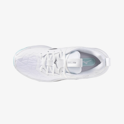 Blue Tint (45)