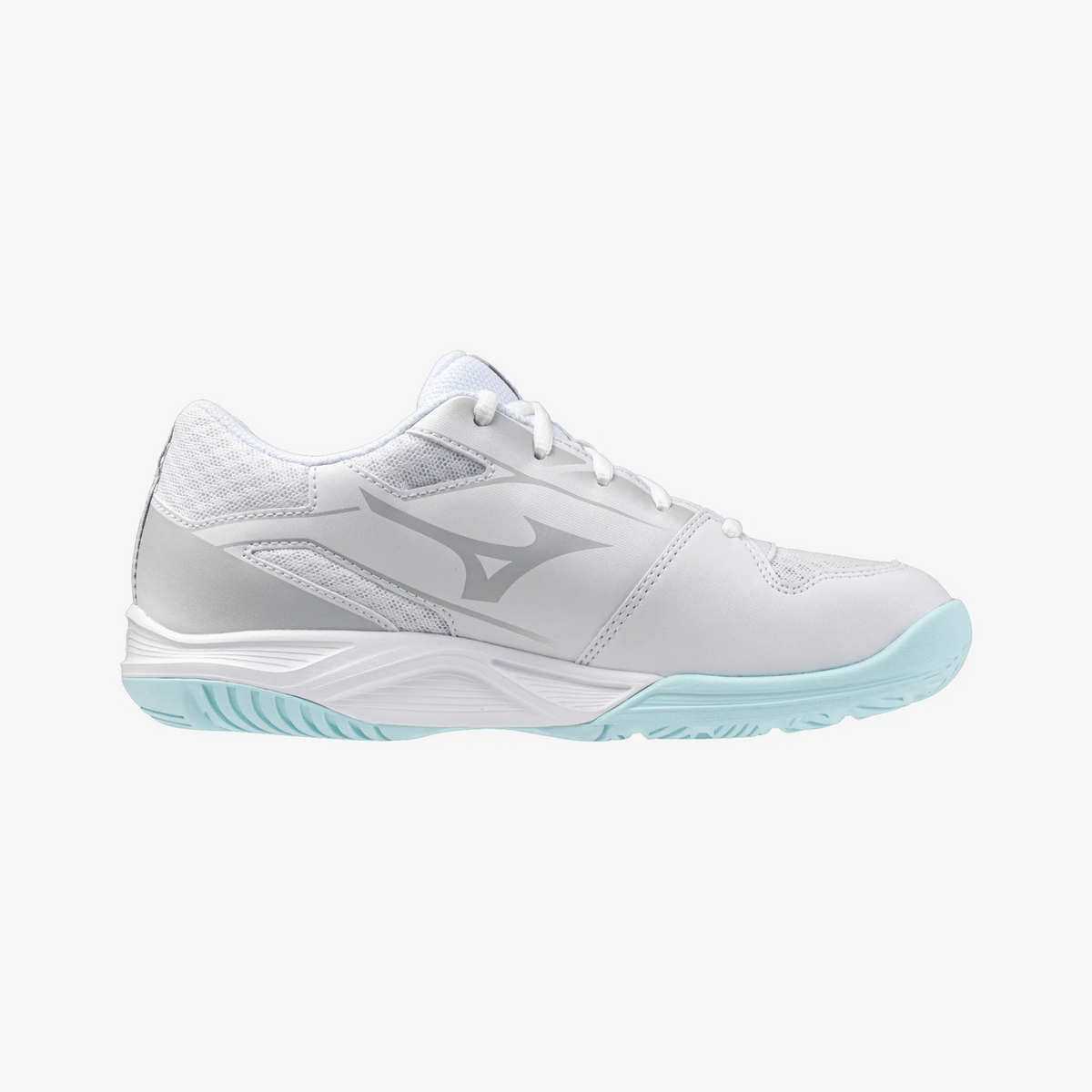 Blue Tint (45)
