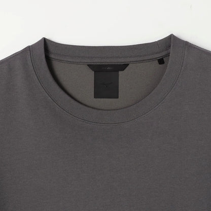 Ash Grey (07)